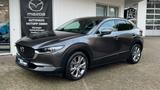 Mazda CX-30 Selection 360° MATRIX BOSE CarPlay Sitzhz. - Mazda CX-30 in Wuppertal