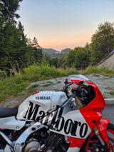 Yamaha XSR 900 GP Akra Einzelstück 1. Hand - YAMAHA XSR900 GP