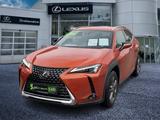 Lexus UX 250 h Style Edition zuverlässiger Crossover - Lexus UX in München