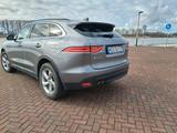 Jaguar F-Pace 20 D.E Performance, Prestige AHK, 19 Zoll - gebrauchte Jaguar F-Pace aus dem Jahr 2019