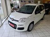 Fiat Panda 1.0 GSE Hybrid 5-Sitzer Parkpilot - Fiat Panda: Sitzer