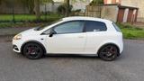 Abarth Grande Punto 1.4 T-Jet 16V - - weiße Abarth Grande Punto