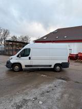 Fiat Ducato Bus Transporter - Fiat: Transporter