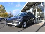 Ford Kuga 2.0 FHEV Titanium Navi SHz Apple CP ACC - Ford Kuga FHEV Gebrauchtwagen
