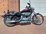 Harley-Davidson XL 1200C  Sportster Custom - Offers matching your search criteria