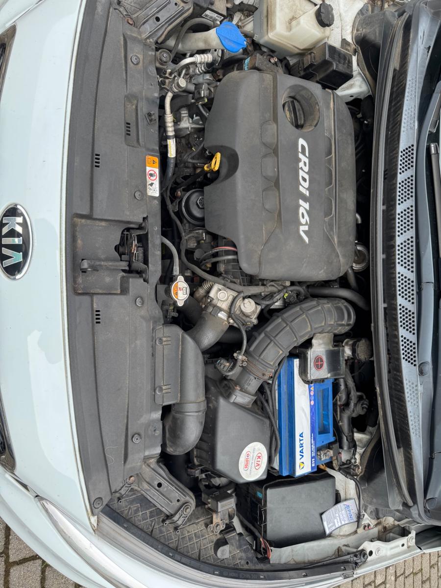 Kia pro_cee'd / ProCeed 1.6 CRDi 128 Vision pro_...