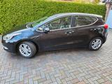 Kia cee'd / Ceed 1.6 GDI Vision gepflegt*SHZ*LHZ*PDC - Kia cee'd / Ceed von privat