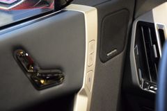Fahrzeugabbildung BMW iX40 xDr. Sport Pano/SkyLounge AHK h/k Laser 22"
