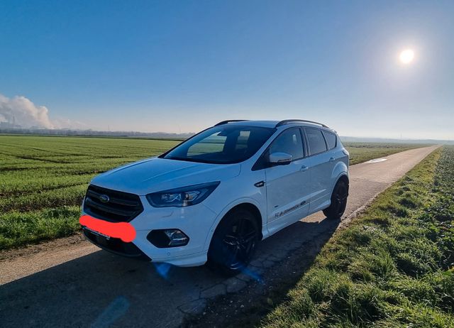 Ford Kuga 1,5 EcoBoost 4x4 134kW ST-Line Automat ...