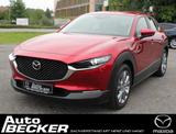 Mazda CX-30 SKYACTIV-G 2.0 M Hybrid - Mazda CX-30 mit Hybrid-Antrieb