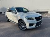Mercedes-Benz Mercedes Benz ML 500 - : Mercedes Ml
