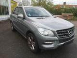 Mercedes-Benz ML 250 ML ML 250 CDI BlueTec - Mercedes-Benz ML 250 in Bremen