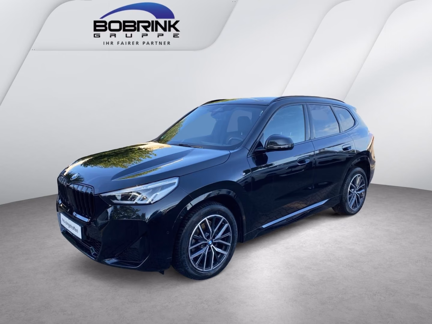 BMW X1 sDrive20i M Sport HiFi LED SHZ Navi RK
