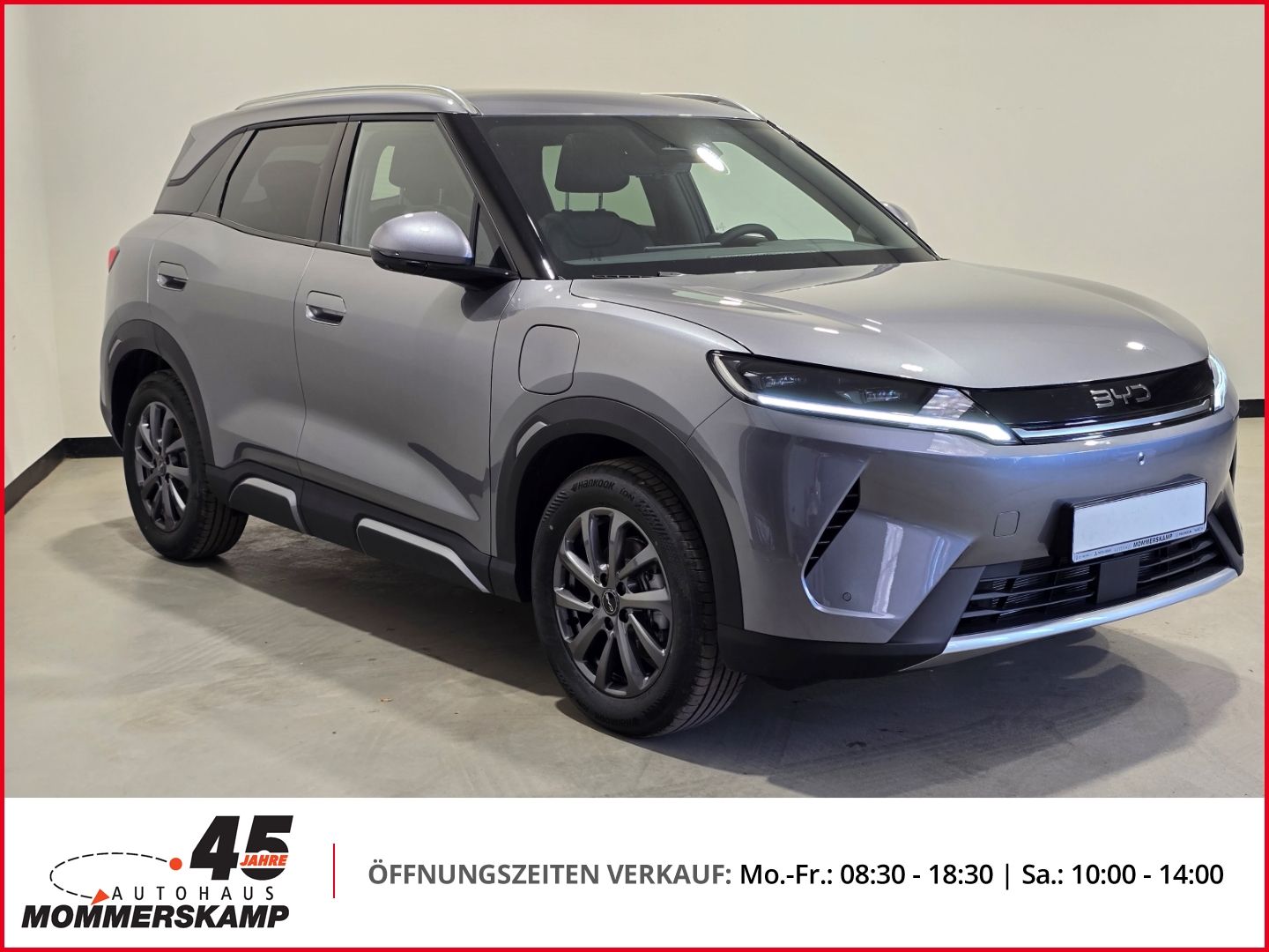 BYD ATTO 2
