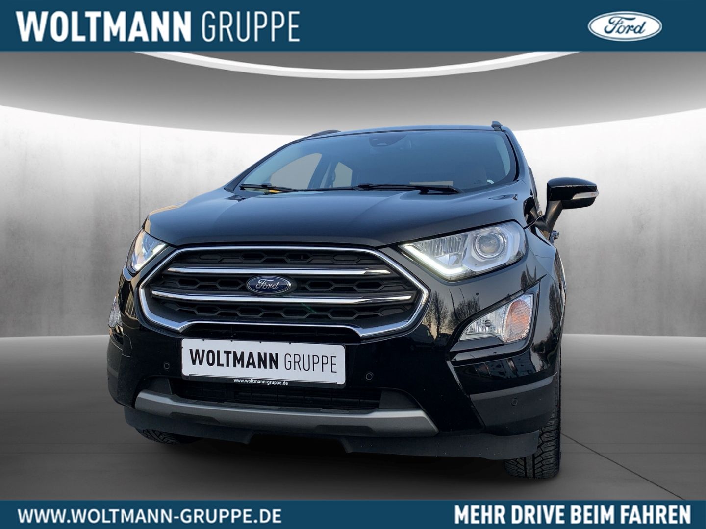 Fahrzeugabbildung Ford EcoSport Titanium, Navigation, Sitz-u. Lenkradhe