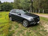 Mercedes-Benz Mercedes Benz ML350 Blue Tec - Mercedes-Benz ML 350 Gebrauchtwagen in Berlin