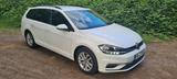 Volkswagen Golf 1.5 TGI BlueMotion DSG UNITED Variant U... - Volkswagen Golf mit CNG-Antrieb