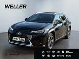 Lexus UX 250h Style Edition *Bi-LED*ACC*CAM*SHZ*CarPla - Lexus mit Hybrid-Antrieb: Allradantrieb