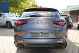 Alfa Romeo Stelvio Quadrifoglio Schiebedach, Alcantara - Alfa Romeo Stelvio: Quadrifoglio
