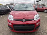 Fiat Panda 1.0 Hybrid SITZHEIZUNG,ALLWETTER,TFT-TACHO - Fiat Panda Tageszulassungen mit Benzin-Antrieb