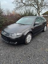 Audi A3 116143 Km TÜV 01.2028 - Audi A3 aus 2004: 2.0