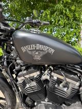 Harley-Davidson Iron 883 Sportster, Top Zustand, viele Umbauten! - HARLEY-DAVIDSON 883 SPORTSTER