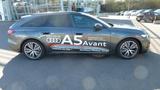 Audi A5 2.0 16V TDI TDI 150 kW S-Line - Audi A5: 2.0