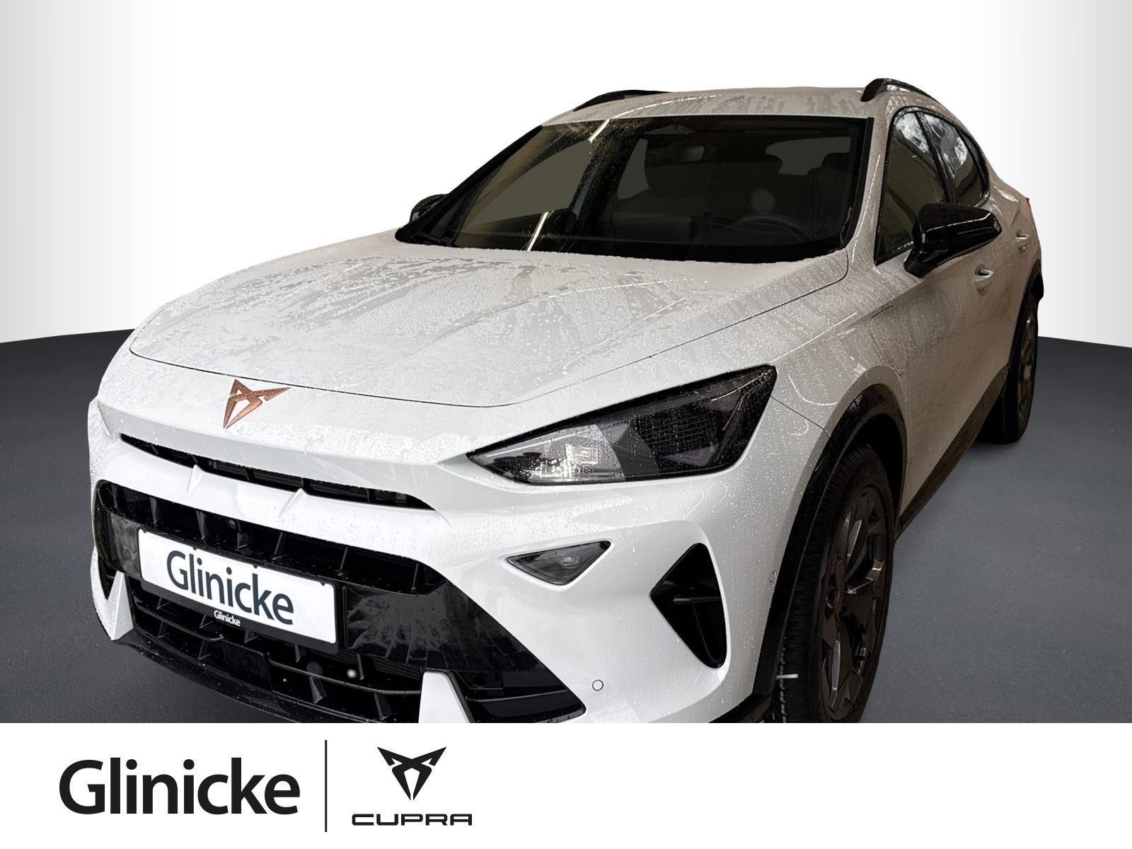 Cupra Formentor 1.5 e-HYBRID, AHK, SHZ, Ganzjahresreif
