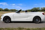 BMW 220i Cabrio Sport Line / Sehr guter Zustand - Gute Gebrauchtwagen