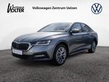 Skoda Octavia 2.0 TDI Tour AHK NAVI SHZ LED KLIMA ACC - Skoda Octavia: Limousine, Tour