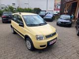 Fiat Panda 1.2 8V Climbing 4X4 - gebrauchte Fiat Panda aus dem Jahr 2005