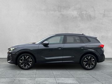 Cupra Terramar - 2