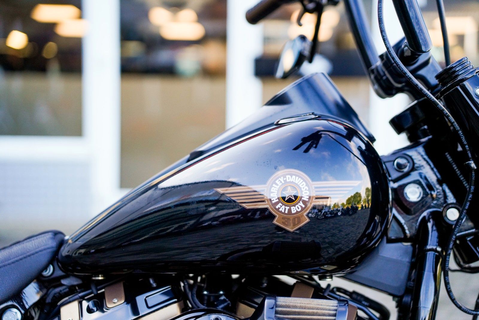 Fahrzeugabbildung Harley-Davidson Softail Fat Boy 30th Anniversary  -Thunderbike-
