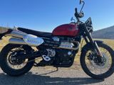 Triumph Scrambler 1200 x