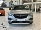 Opel Grandland X Business Innovation - : Teilleder, Sitzbelüftung, Geländewagen