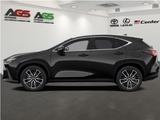 Lexus NX 450h+ E-Four Luxury + Panorama Mark Levinson - graue Lexus NX 450h