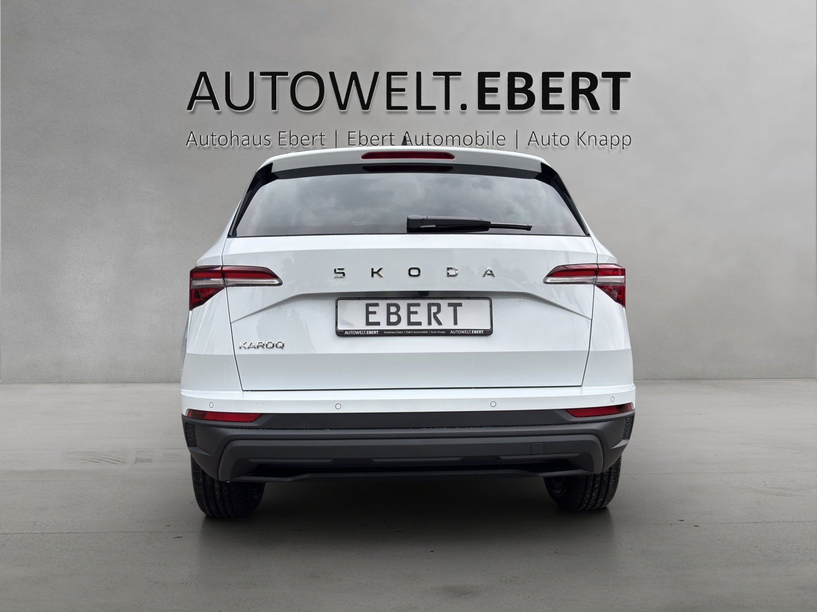 Fahrzeugabbildung SKODA Karoq Balance 1,5 TSI 110 kW DSG MATRIX/RFK/AHK