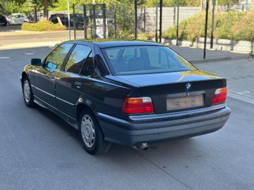 BMW 316 - 7
