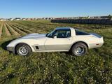 Corvette C3 Stingray Crossfire V8 - Corvette C3 Gebrauchtwagen