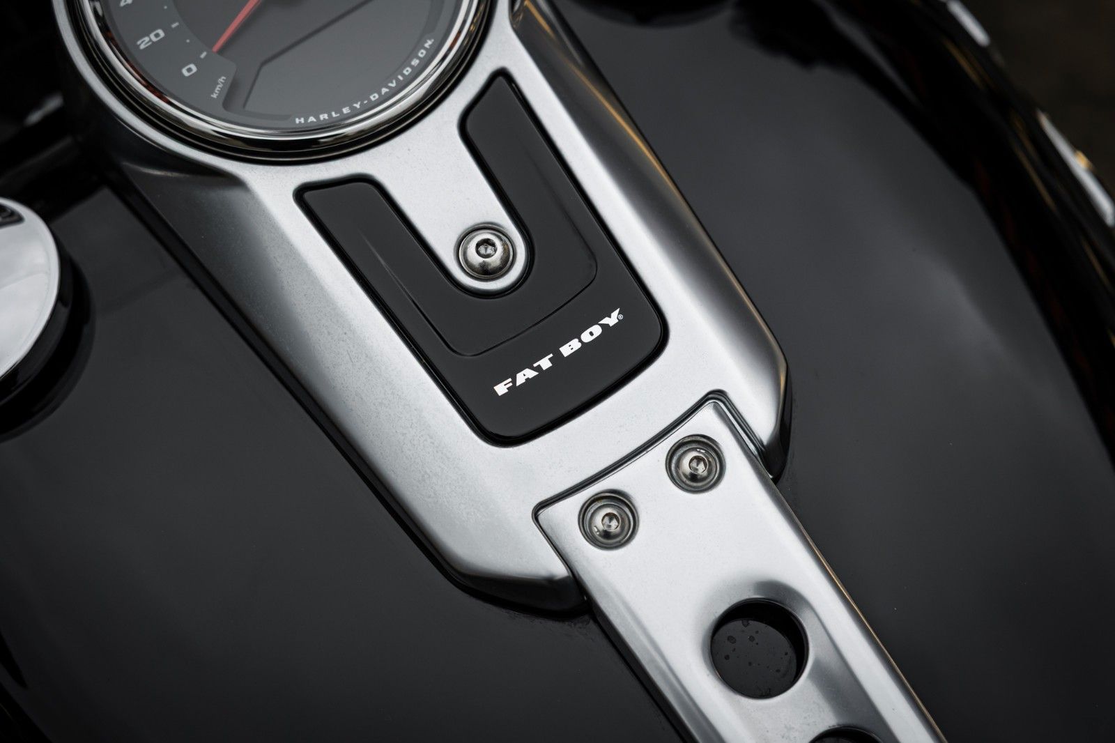 Fahrzeugabbildung Harley-Davidson FLFBS FAT BOY SOFTAIL 114 CUI - Screaming Eagle