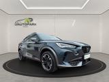 Cupra Formentor 1.5TSI*DSG*VIRTUAL*T-LEDER*LED*KAM*NAV - Cupra Formentor in Braunschweig