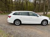 Skoda Octavia IV Combi 2.0 TDI DSG First Edit. PANO - Skoda Octavia iV Gebrauchtwagen