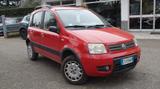 Fiat Panda 1.2 4x4 Climbing - gebrauchte Fiat Panda aus dem Jahr 2005