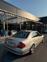 Mercedes-Benz E 270 CDI AVANTGARDE Avantgarde - Mercedes-Benz E 270: Cdi Avantgarde