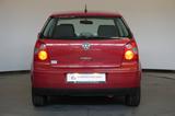 Volkswagen Polo 1.4 Cricket Automatik Klima StzHzg StdHzg - Volkswagen Polo: 1.4