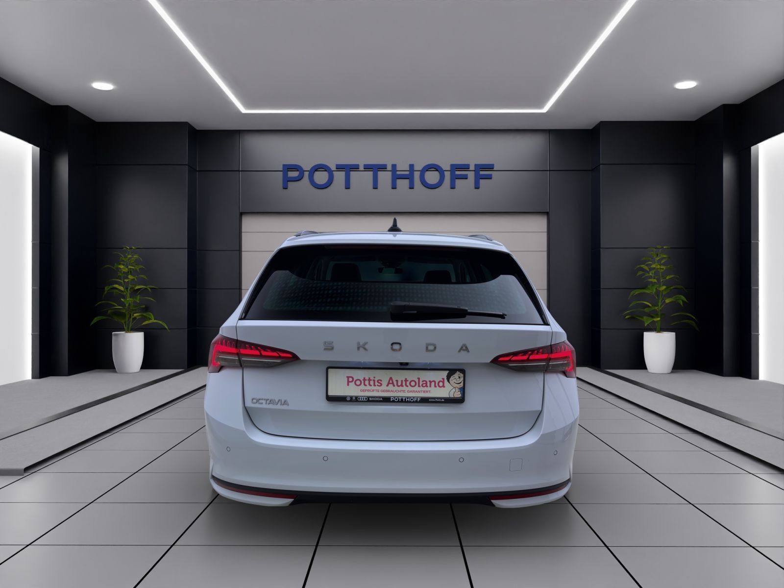 Skoda Octavia - Bild 4