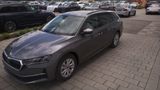 Skoda Octavia Combi Business ACC|RFK|LED|Carplay|Kl... - Skoda Octavia: Business