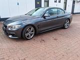 BMW 428 4 Cabrio 428 i - BMW 428 Gebrauchtwagen