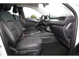 Ford Kuga Titanium X 2,0l EcoBlue Navi Frontkamera - Ford Kuga mit Diesel-Antrieb: Geländewagen