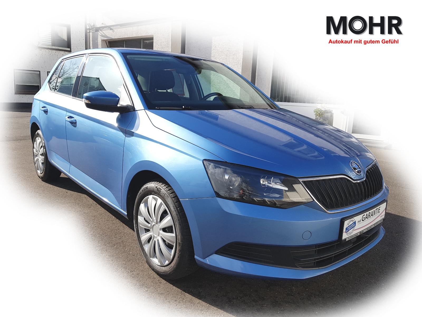 Skoda Fabia Sitzheiz Tempomat Parktronik Klimaautom